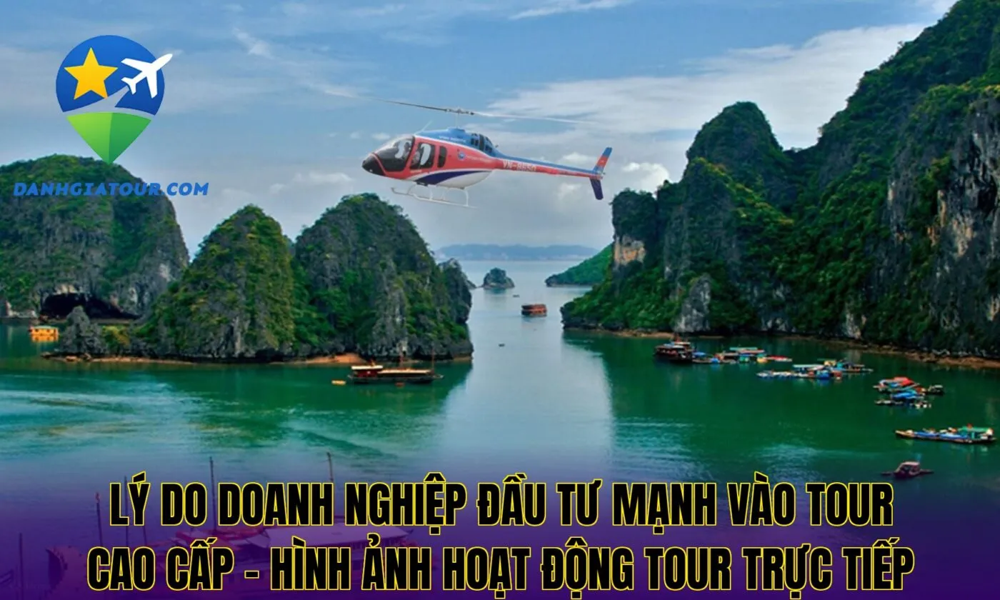 Lý do doanh nghiệp đầu tư mạnh vào tour cao cấp – Hình ảnh hoạt động tour trực tiếp