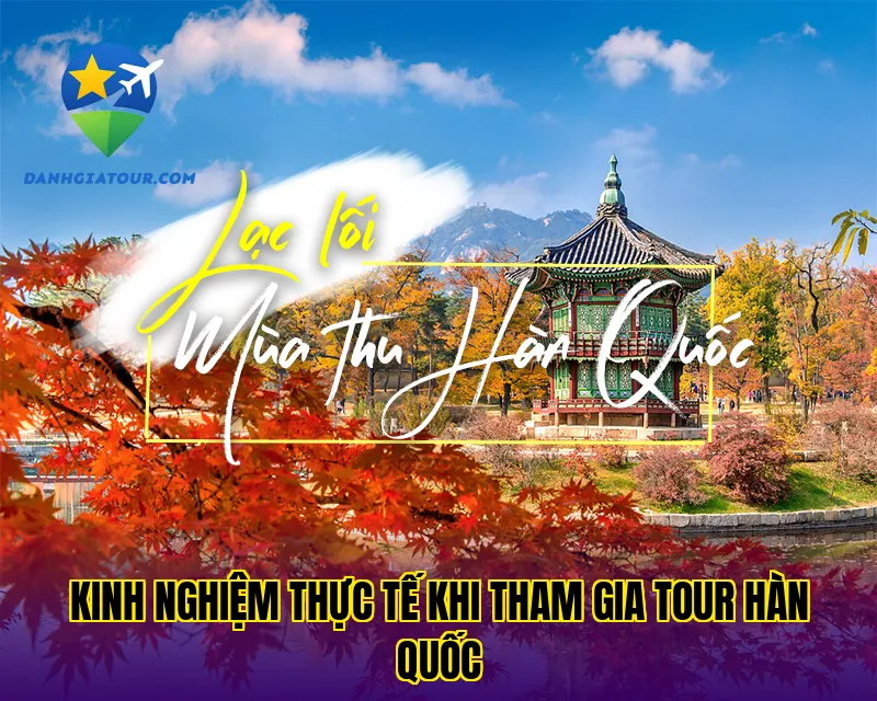 Kinh nghiệm thực tế khi tham gia tour Hàn Quốc